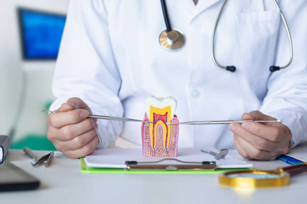 Best Root Canal Emergency Dentist  in Petaluma, CA